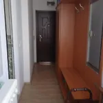 глобал вил *