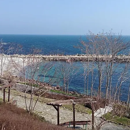 глобал вил Apartament