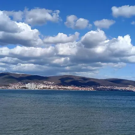 глобал вил Daire